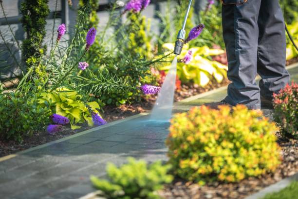 Trusted Weston Mills, NY Pressure Washing Services Experts